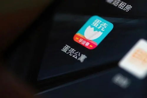 租金贷 爆雷,租客利益如何保障 朱建弟代表 加强涉及重大民生的金融创新产品监管