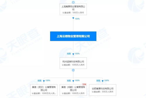 跑路前夜,还在疯狂敛财 比p2p还狠的产品,把年轻人坑惨了