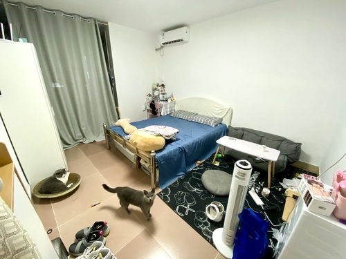 盐田 沙头角 大迎公寓转租 大单间 月租2200