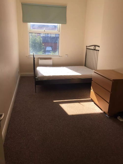 东伦敦崭新公寓出租 超大阳台与花园,尽享都市绿洲生活