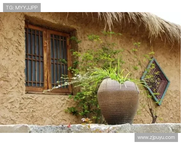 《麦香》:一曲田园牧歌,一场人生蝶变,致敬平凡中的不凡岁月