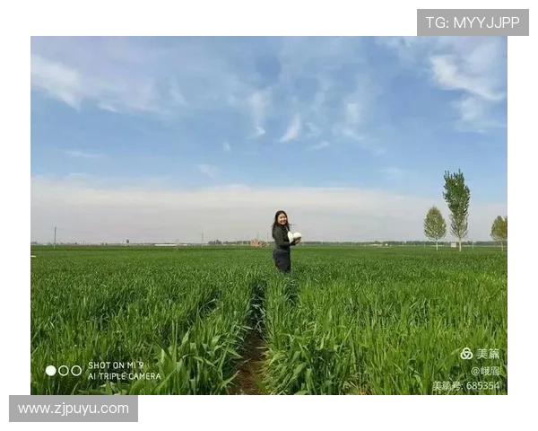 《在希望的田野上》:一部关于奋斗、梦想与家国情怀的史诗