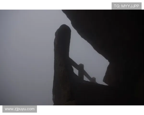 《水落石出》:拨开迷雾,真相的触角从未停止 《水落石出》:拨开迷雾,真相的触角从未停止